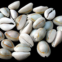 حکاکی گوهرشناسی